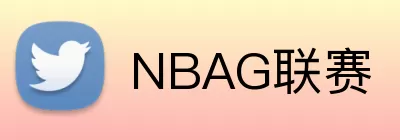 NBAG联赛 logo